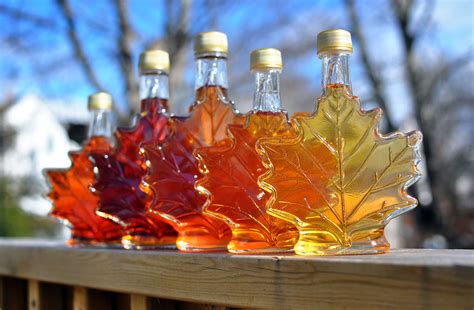 do it yourself maple syrup.